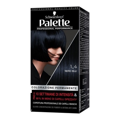 Palette colorazione Professional Performance 1_4 NERO BLU