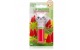 Lip Smacker Balsamo Labbra Lippy Kitten